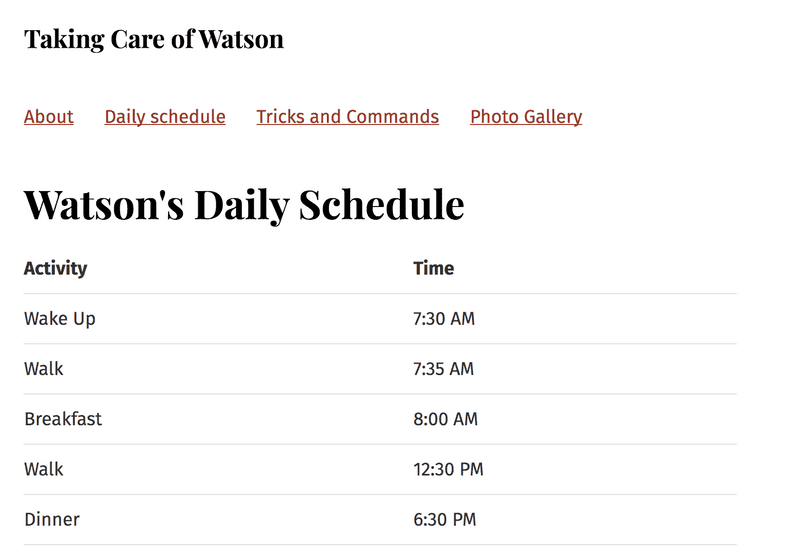 What the finished daily schedule looks like on my site